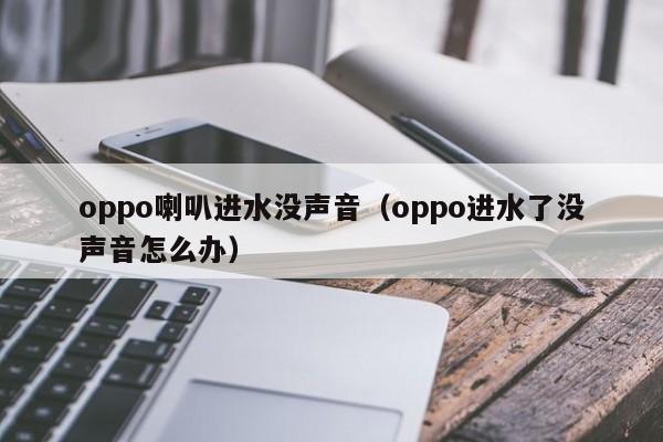 oppo喇叭进水没声音（oppo进水了没声音怎么办）