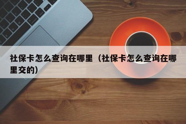 社保卡怎么查询在哪里（社保卡怎么查询在哪里交的）