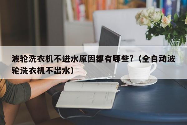 波轮洗衣机不进水原因都有哪些?（全自动波轮洗衣机不出水）