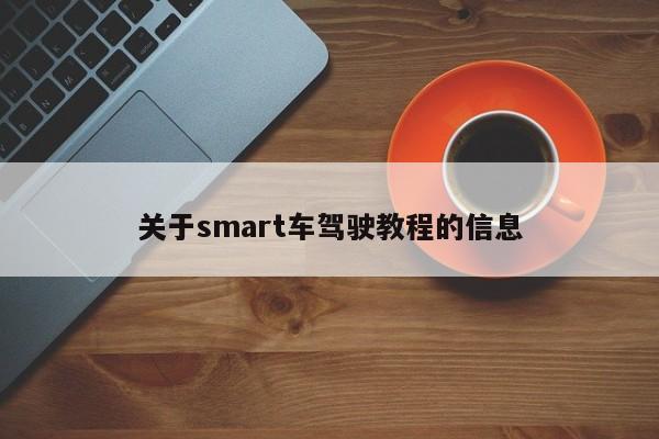 关于smart车驾驶教程的信息