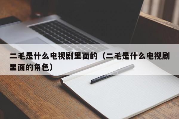 二毛是什么电视剧里面的（二毛是什么电视剧里面的角色）