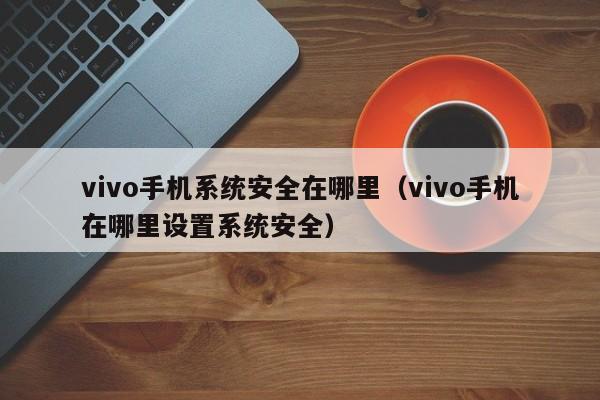 vivo手机系统安全在哪里（vivo手机在哪里设置系统安全）