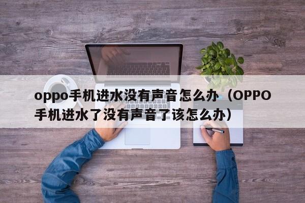 oppo手机进水没有声音怎么办（OPPO手机进水了没有声音了该怎么办）