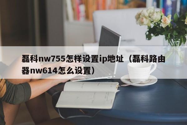 磊科nw755怎样设置ip地址（磊科路由器nw614怎么设置）